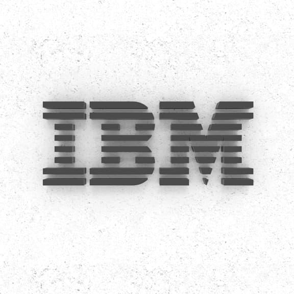 Wall mounted IBM logo brand expression