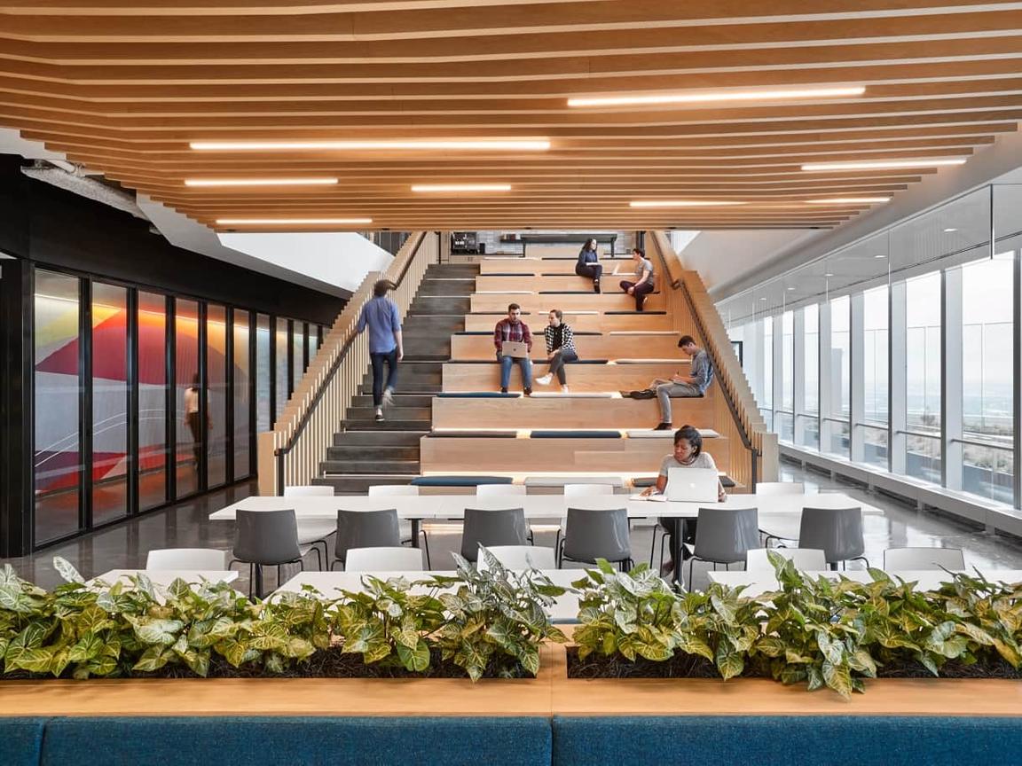 wood slat ceiling to mark collaboration space