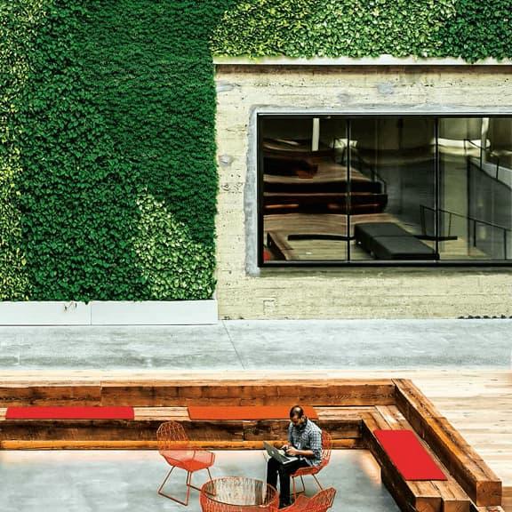 outdoor space with biophilic elements